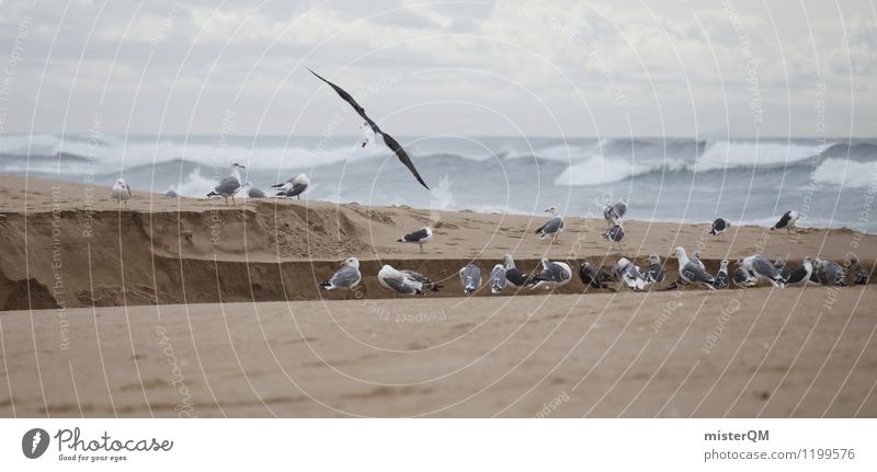 Porto grey. Art Esthetic Contentment Seagull Gull birds Beach dune Walk on the beach Flotsam and jetsam Beach life Portugal Gray Bad weather Colour photo