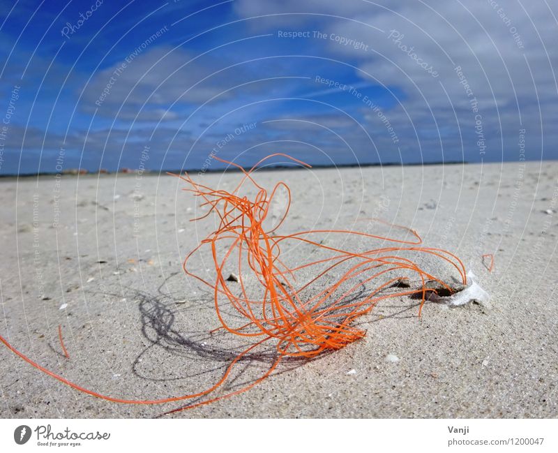 In the sand Vacation & Travel Freedom Sun Beach Ocean Nature Sand Air Sky Plastic Line Esthetic String Orange Bushes Colour photo Exterior shot Detail