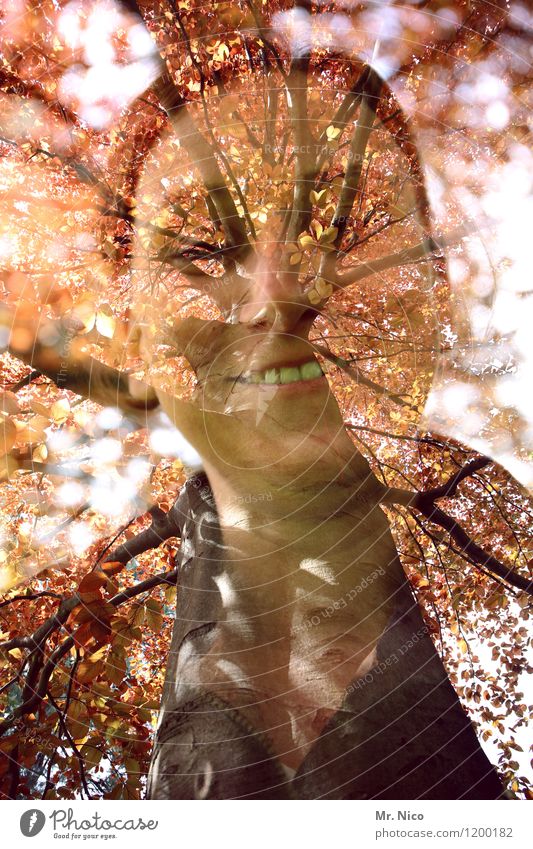 tree fence | UT Cologne Feminine Woman Adults Face Environment Nature Beautiful weather Tree Leaf Forest Whimsical Double exposure Branch Experimental Smiling