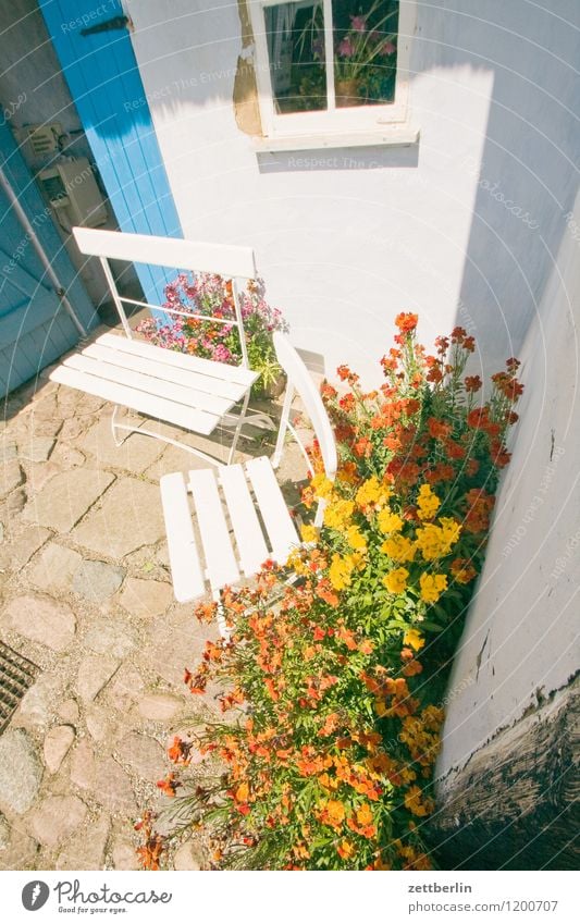 baker's flowers Landscape Mecklenburg-Western Pomerania good for the monk Baltic Sea Vacation & Travel Travel photography Rügen Tourism pfarrwitwenhaus