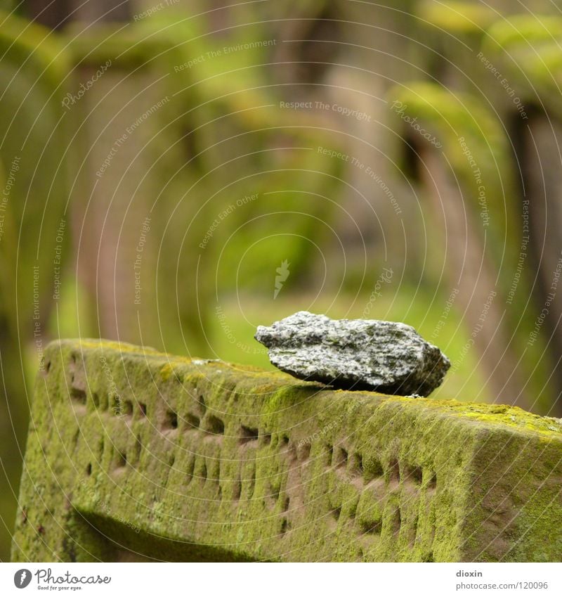 Holy Sand 3 Moss Stone Sign Characters Old Green Goodness Sadness Grief Death Distress Religion and faith Transience Cemetery Worms Tombstone Sandstone