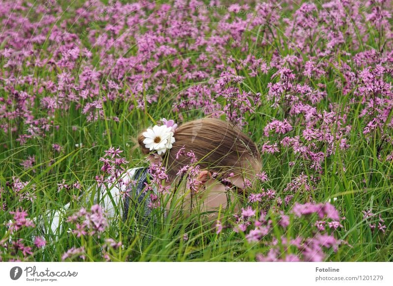 summer child Human being Feminine Child Girl Young woman Youth (Young adults) Infancy Body Head Hair and hairstyles 1 Environment Nature Landscape Plant Summer