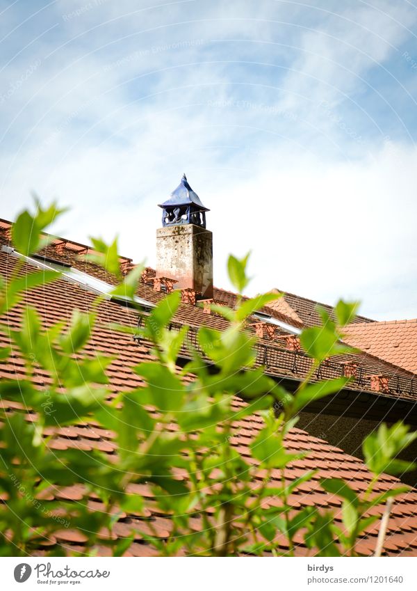 Fireplace with cap Sky Spring Summer Beautiful weather Plant Bushes Roof Exceptional Positive Creativity Style Rural Colour photo Exterior shot Deserted