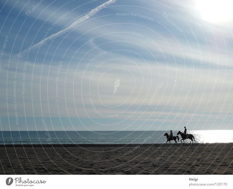 Silhouette of two riders on the beach against the light Ride Dream Horse Tails Hand Horse's gait Beach Coast Ocean Lake Sea water Clouds Sun Light Back-light