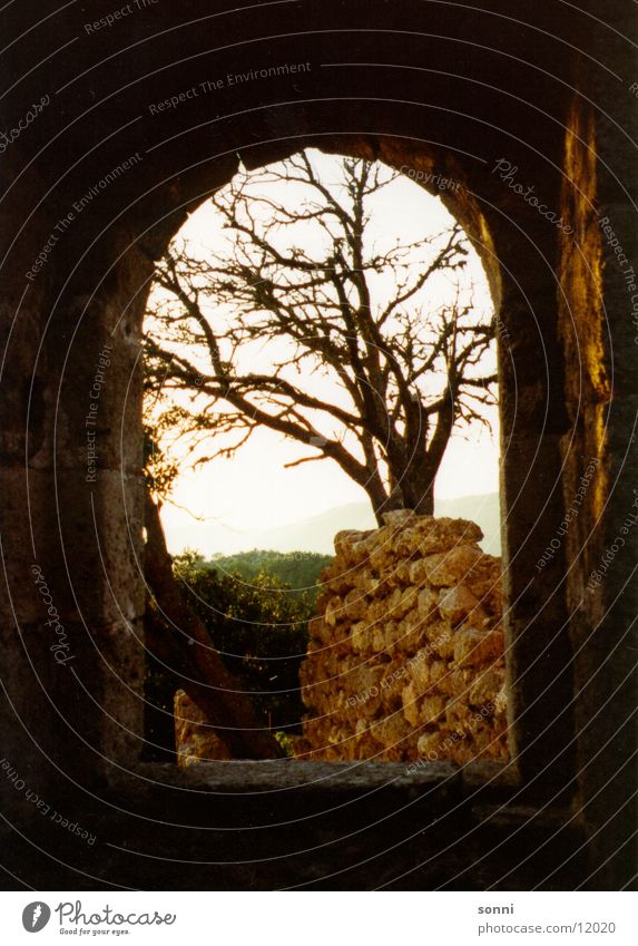 windows Moody Ruin Majorca Light Vantage point Far-off places Tree Gate Shadow