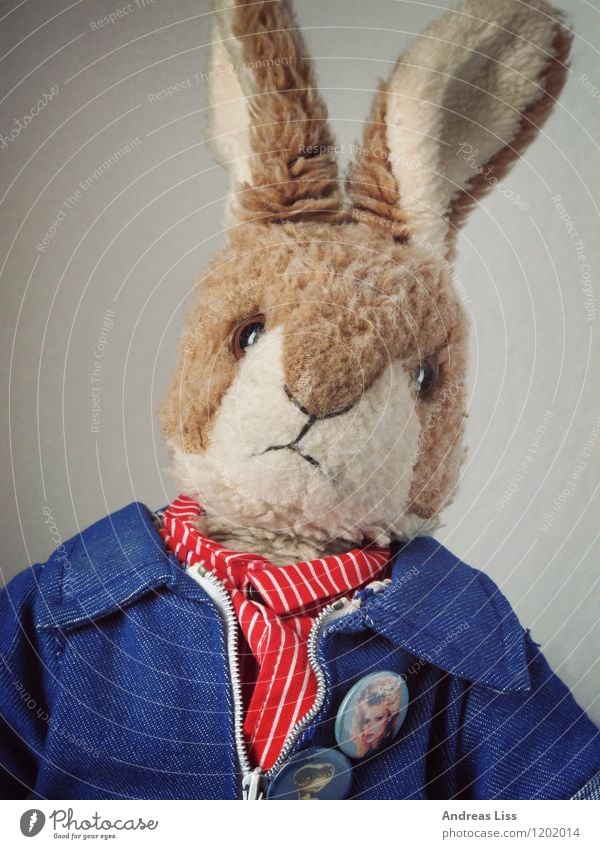 rabbit portrait Toys Cuddly toy Playing Cute Moody Infancy Hare & Rabbit & Bunny Portrait photograph Colour photo Interior shot Looking into the camera