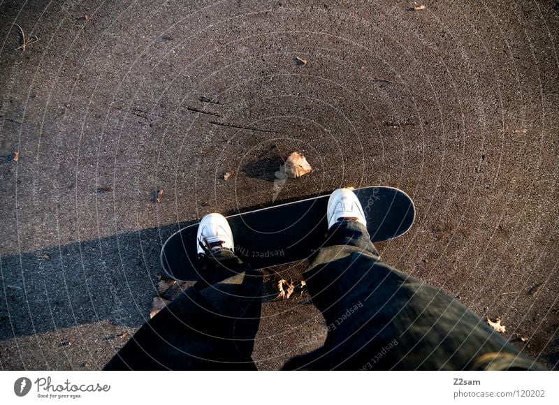 on axles Driving Skateboarding Bird's-eye view Footwear Leaf Tar Concrete Wide angle Long Sports Easygoing Funsport Man Playing Coil Perspective Wooden board