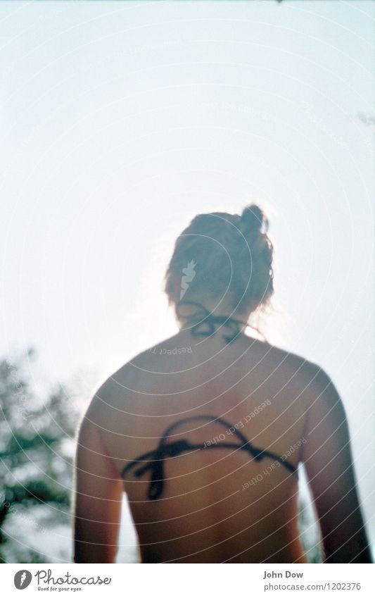 sundance Vacation & Travel Summer Summer vacation Sun Sunbathing Beach Feminine Young woman Youth (Young adults) Hair and hairstyles Back Swimming & Bathing