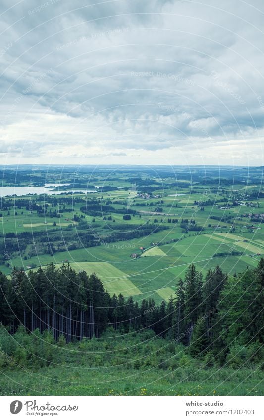 plane Environment Nature Landscape Hiking Green Clouds Vantage point Meadow Forest Lake Carpet Agriculture Fertile Agricultural product Farmer Bavaria Juicy