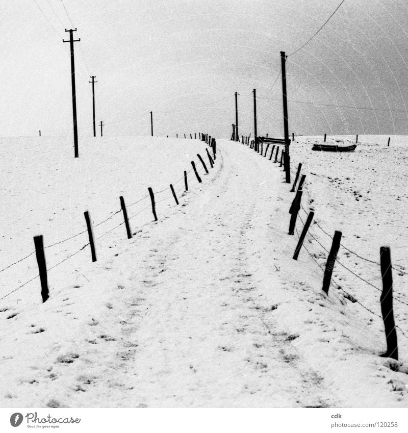 winter trip Promenade Footpath Horizon Air Electricity pylon Field Meadow Fence Winter Seasons Cold White Deserted Loneliness Rural Relaxation Breathe