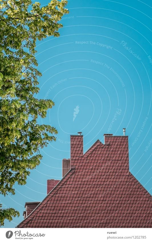 leaf canopy Living or residing House (Residential Structure) House building Roofing Cloudless sky Spring Summer Beautiful weather Tree Leaf Manmade structures