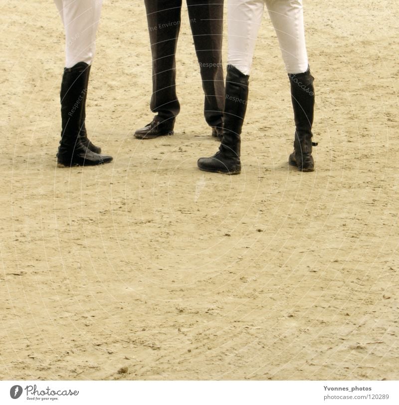 meeting Horseracing Derby Jodhpurs Racing sports Sporting event Bet Game of chance Success Loser Show jumping Workwear Thin Meeting 3 Referee Coach Footwear