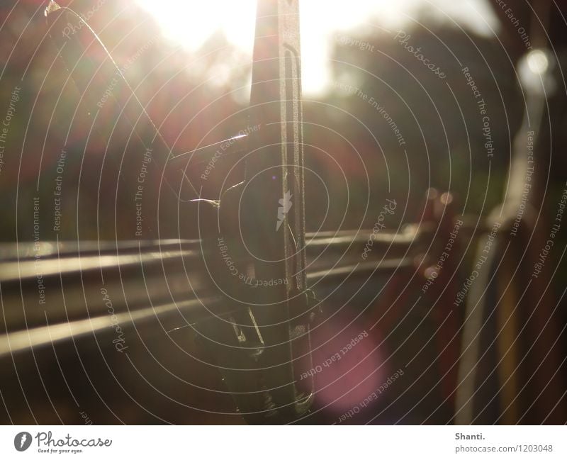 in brackets Garden Clothes peg Clothesline Metal Plastic To hold on Esthetic Simple Patient Endurance Wanderlust Help Contentment Attachment Colour photo