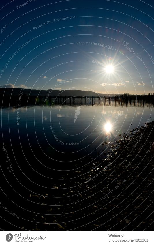 Lake Constance lowlight Closing time Nature Landscape Elements Water Sky Horizon Sunlight Alps Lakeside River bank Bay Breathe Observe Glittering Blue