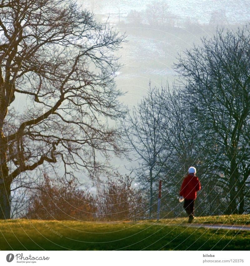 winter walk Woman Old Slowly Red White To go for a walk Tree Might Bulky Individual Relaxation Pamper Bushes Wood Meadow Physics Light Switzerland Evening sun