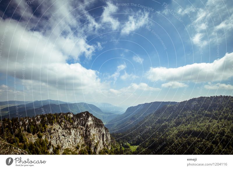 Image for beer advertising Environment Nature Landscape Sky Clouds Summer Beautiful weather Forest Hill Natural Blue Far-off places Colour photo Exterior shot