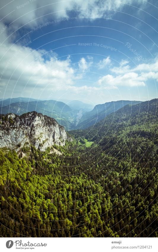 nature Environment Nature Landscape Sky Summer Beautiful weather Forest Hill Natural Blue Green Switzerland Colour photo Exterior shot Deserted Day