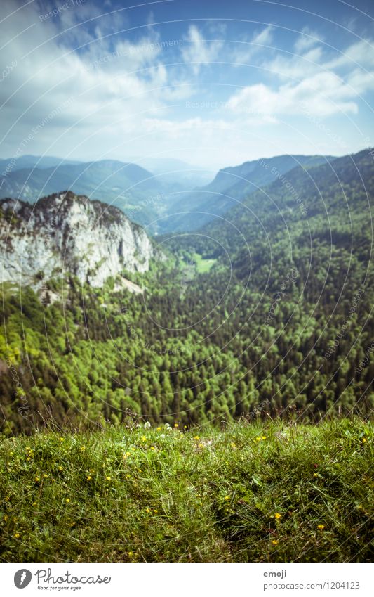 vastness Environment Nature Landscape Sky Summer Climate Beautiful weather Wind Forest Hill Natural Blue Green Vantage point Far-off places Switzerland Trip