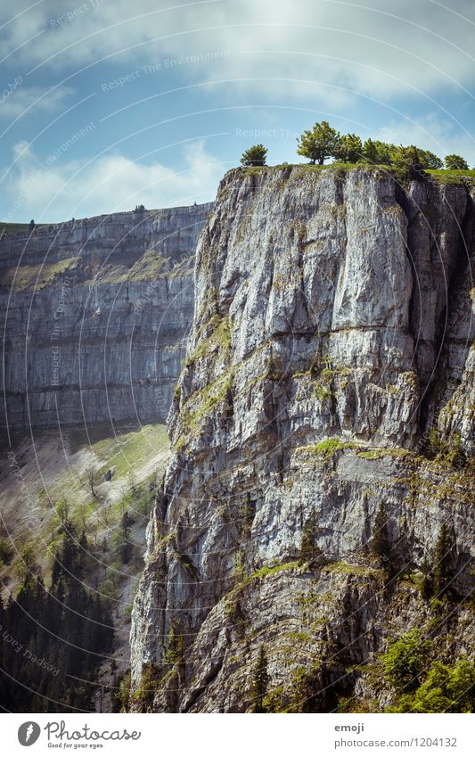 imposing Environment Nature Landscape Summer Rock Mountain Infinity Natural Edge Canyon Class outing Hiking trip Tourism Switzerland Colour photo Exterior shot