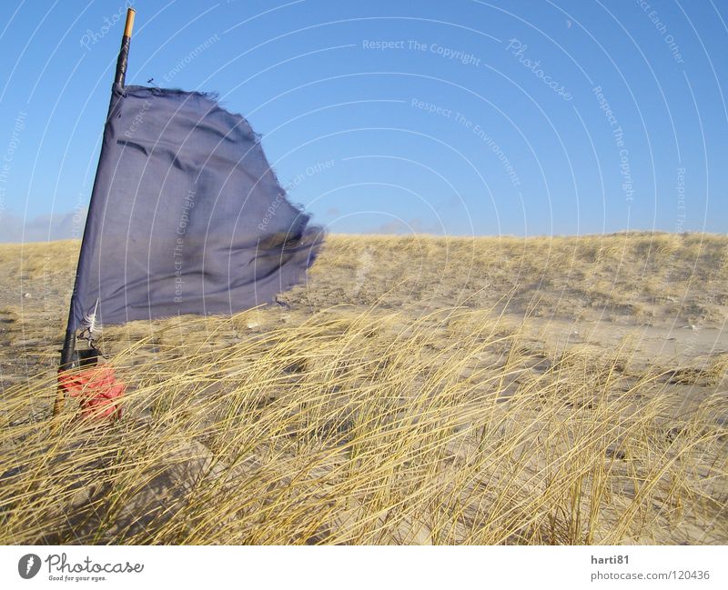 Storm at the beach Beach Winter Flag Fish trap Ocean Vacation & Travel Denmark Beach dune Plant Sand Blue Sky Wind