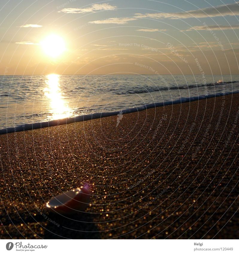 Evening sun on the beach with calm waters in the Mediterranean Sun Sunset Moody Dusk Lighting Reflection Ocean Sea water Waves Beach Coast Pebble Mussel