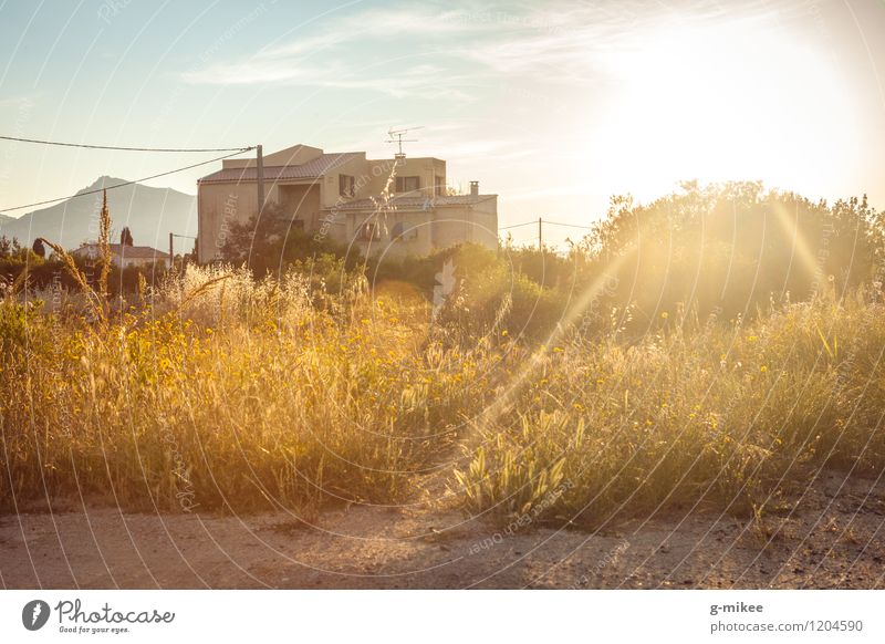 Mediterranean House Nature Landscape Sun Summer Village House (Residential Structure) Bright Dry Warmth Gold Calm Corsica Mediterranean sea Desert Hot Sunset