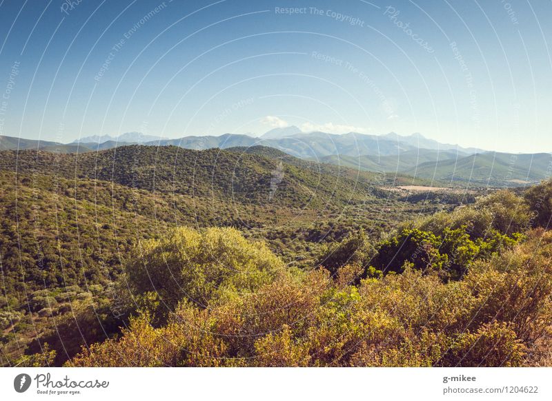 Corsica Nature Landscape Sky Summer Forest Hill Vacation & Travel Large Infinity Warmth Blue Green Mediterranean Island Colour photo Exterior shot Deserted