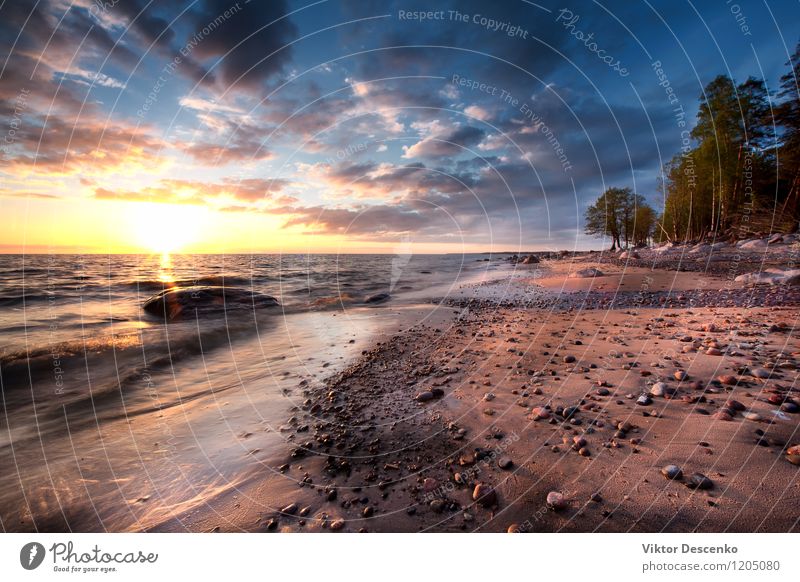 Sandy beach with rocks at the sea. Baltic sea Vacation & Travel Beach Ocean Waves Winter Table Clouds Weather Storm Wind Rock Coast Baltic Sea Door Drop Yellow