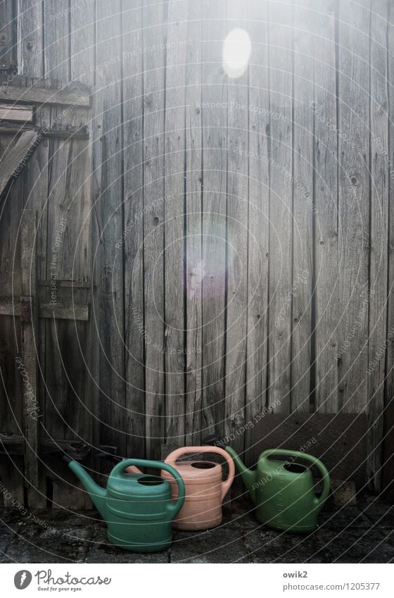 hiking day Wall (barrier) Wall (building) Wooden wall Barn Plastic Looking Stand Wait Curiosity Under Watering can 3 In transit Lens flare Colour photo