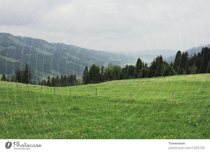 Somewhere in the Allgäu (2) Vacation & Travel Environment Nature Landscape Plant Sky Clouds Weather Tree Grass Hill Fence Wooden stake Esthetic Fresh Gray Green