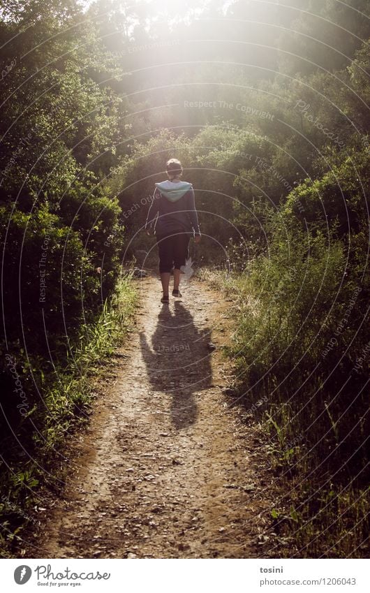 Long way to go Young woman Youth (Young adults) Woman Adults 1 Human being Walking Hiking Lanes & trails Think Forest Bushes Summer In transit Promenade