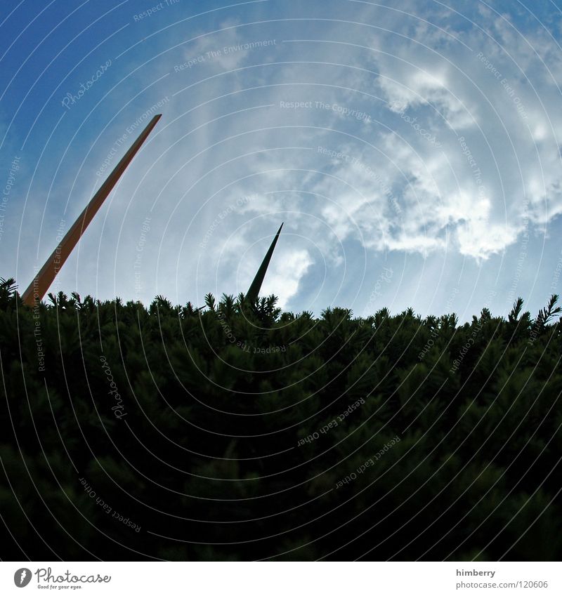 point of view V Hedge Clouds Park Bushes Art Summer Sky Point Graffiti Perspective