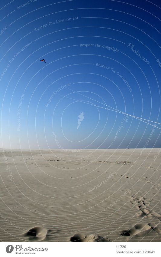 Day at the sea 02 Ocean Beach Beautiful weather Footprint Horizon Gale Low tide Netherlands Coast Sand Dragon fly a kite Sky Blue Feet Wind High tide