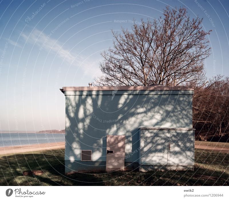 downside Environment Nature Landscape Plant Water Sky Clouds Horizon Climate Beautiful weather Tree coast Lakeside House (Residential Structure) Building