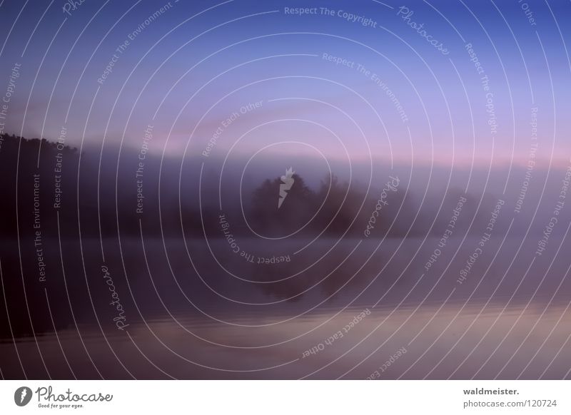 Beautiful Morning Fog Lake Tree Twilight Morning fog Clouds Autumn Cold Romance Calm Water Sky Dawn Feisneck Müritz National Park Sadness