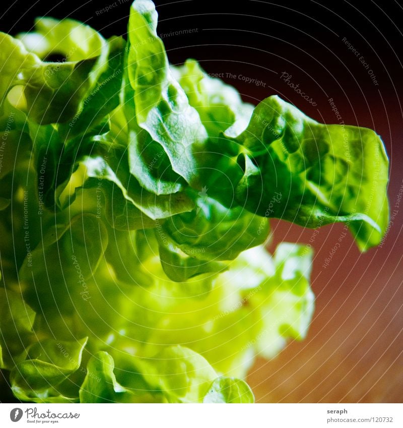 Fresh Salad Lettuce Pick Delicious Green salad Salad leaf Rucola Healthy Healthy Eating Vitamin Crunchy Vegetable Plant Garden plants Food Background picture