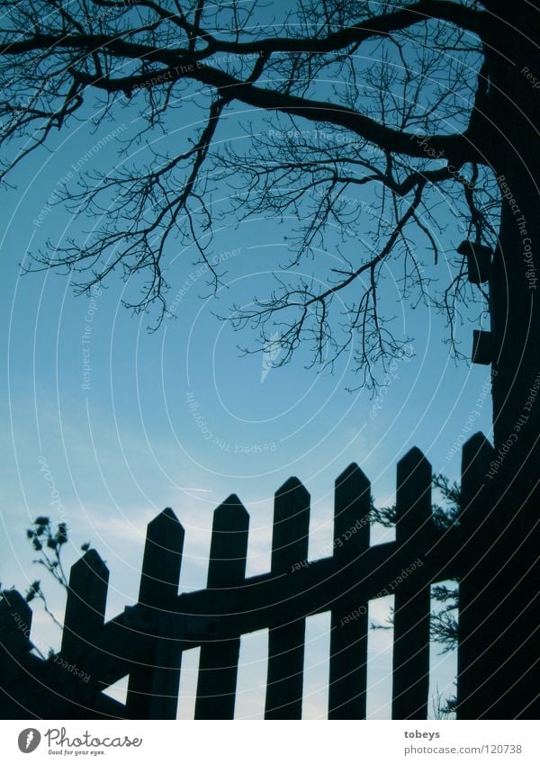 Tree house with front garden House (Residential Structure) Garden Flower Meadow Bird Dark Bright Blue Black Moody Fence Birdhouse Front garden Branch Treetop