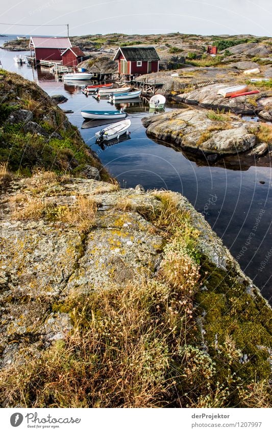 Fishing port on Käringön Vacation & Travel Tourism Trip Freedom Environment Nature Landscape Plant Elements Summer Beautiful weather Rock Waves Coast Bay Fjord