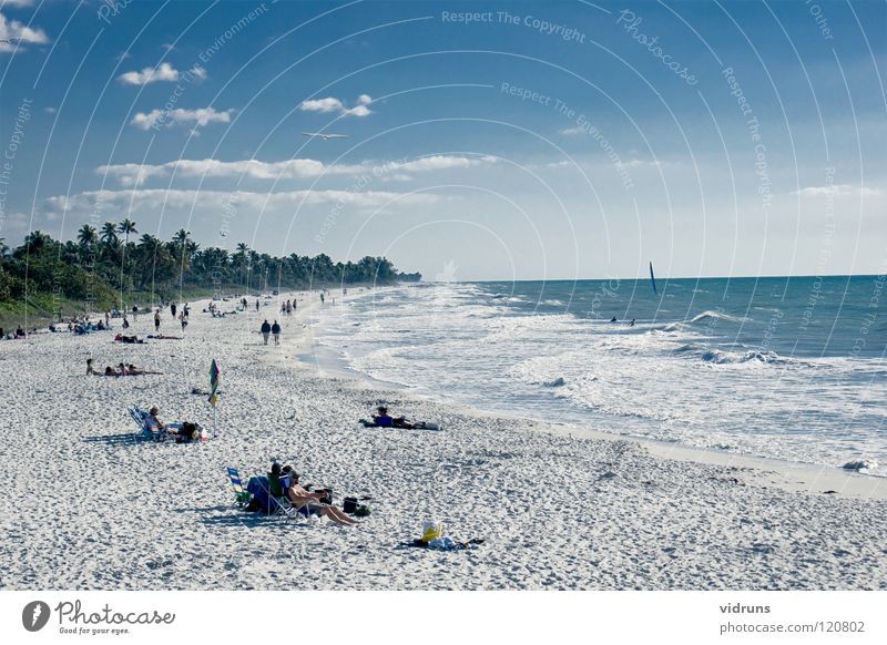 naples beech florida Blue sky Water surfs up tripical suntanic Windsurfing midday