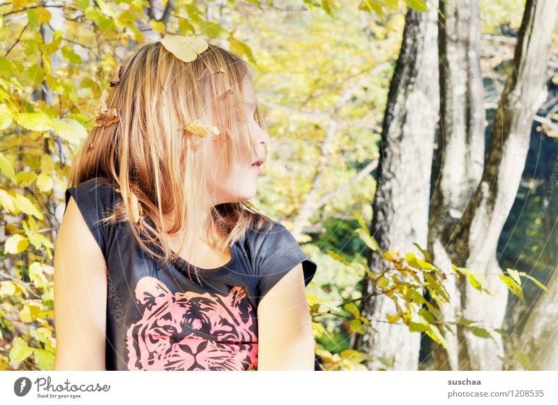 forest fairy . Child Girl Head Hair and hairstyles Profile Forest Leaf Tree trunk Nature Exterior shot Autumn