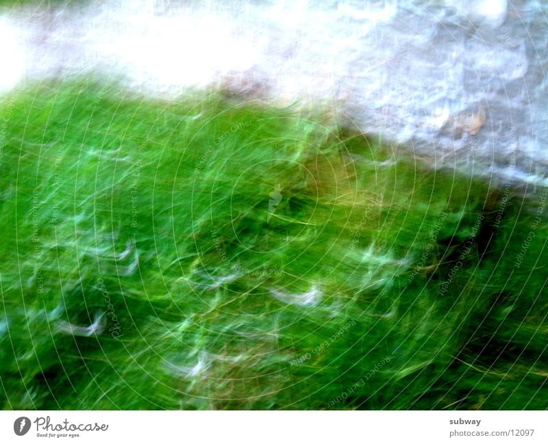 space weed Green White Structures and shapes Shake Reaction Senses Photographic technology structure texture Movement move shaking stylish drunk inebriated