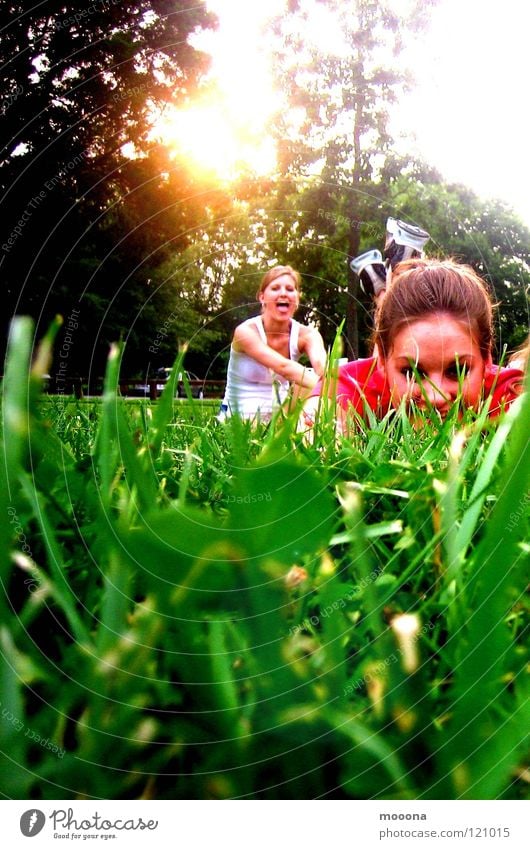 buzzer time Grass Meadow Playground Physics Sun Sneakers Garden Park fun Tongue Joy Hide Warmth Evening