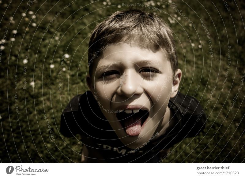 Schoolboy in the garden Masculine Child Boy (child) Brother Infancy Body Skin Head Hair and hairstyles Face Mouth Lips 1 Human being 3 - 8 years T-shirt