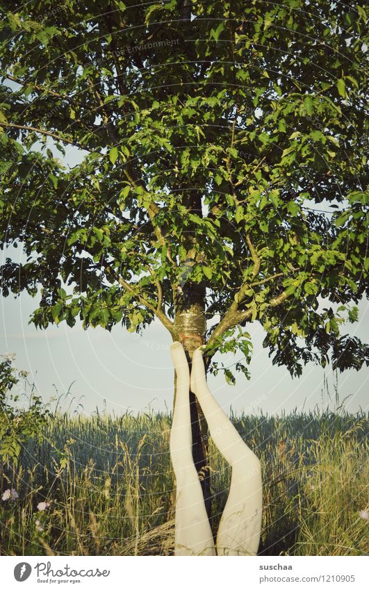 legs Nature Exterior shot Tree Summer Legs Feet Mannequin False