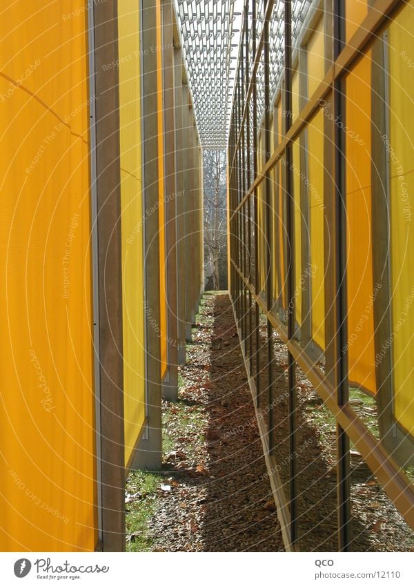 Yellow surrounded Venetian blinds Gymnasium Carrier Architecture Weather protection reflection