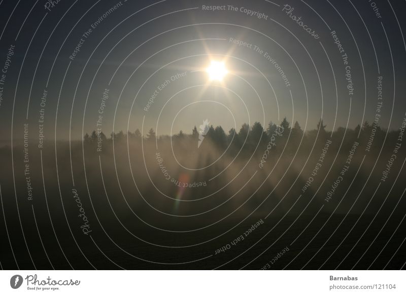 chevy Forest Wood flour Twilight Fog Dark Sun dawn Morning foggy