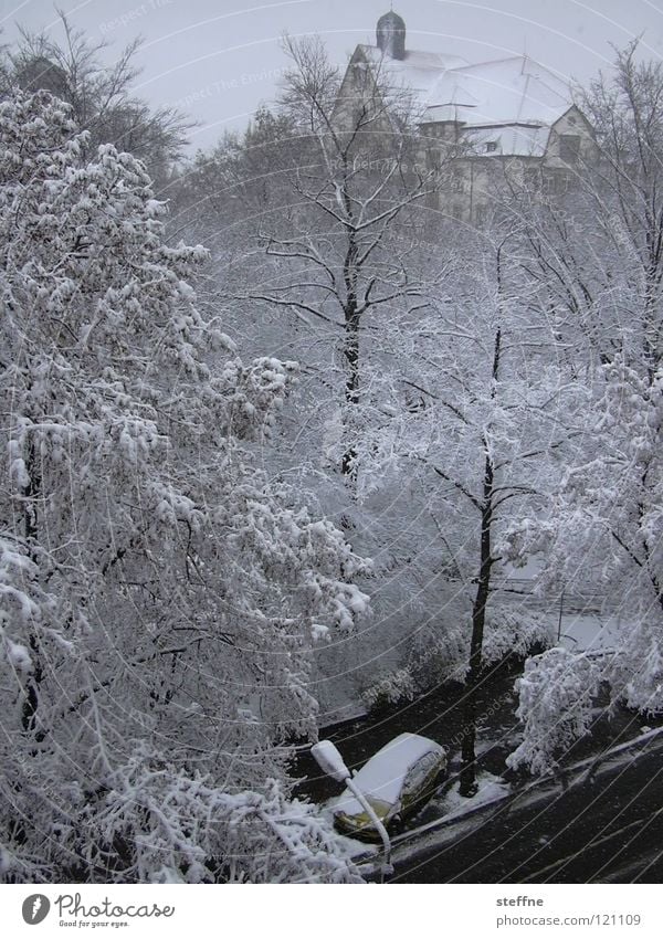 Climate change I Winter Tree Snowflake White Building Vantage point Flat (apartment) Panorama (View) Balcony Attic story Living or residing temperature rise