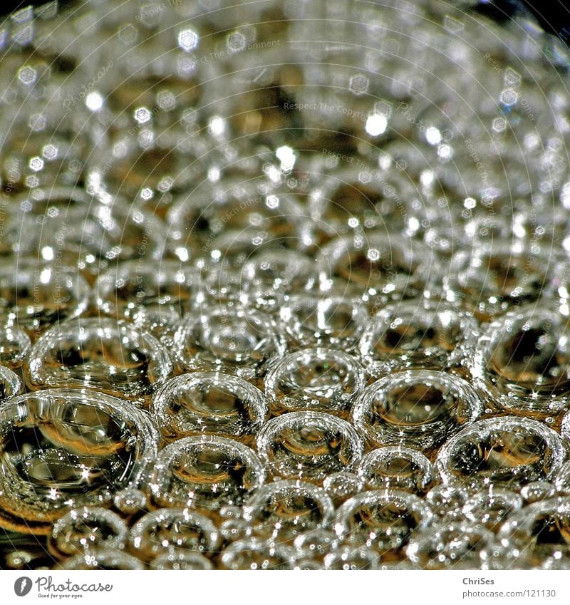 bubbles Source Cute Soap bubble Air bubble Copper Flow Brook Wet Damp Foam Bathroom Cold Clarity Northern Forest Macro (Extreme close-up) Close-up River Water