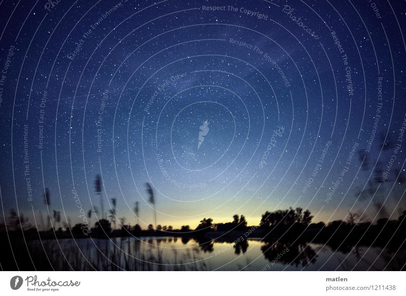 Light over the carp pond Nature Landscape Plant Water Sky Cloudless sky Night sky Stars Horizon Weather Beautiful weather Wind Tree Grass Pond Illuminate Flare