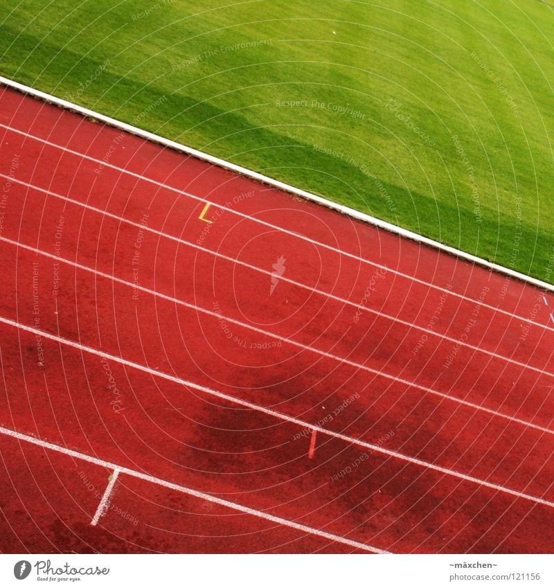 Is there nobody left? Racecourse Stadium Track and Field Red Green White Tracks Tilt Hundred-metre sprint Jogging Endurance Thrashing Bonus Gaudy Square Sports